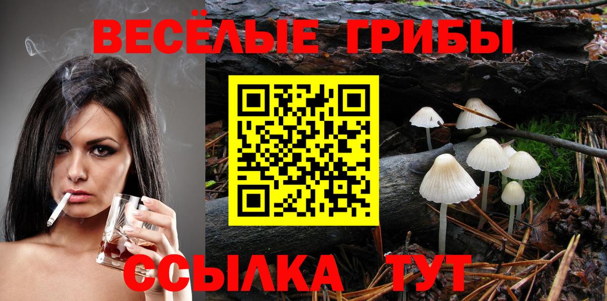 Ногинск  Псилоцибиновые грибы MAGIC MUSHROOMS  Вход с VPN 